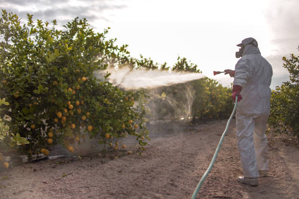 Belzoni, MS Pest Control Company